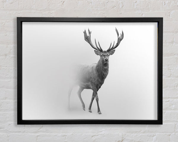 Stag In The Mist Framed Print