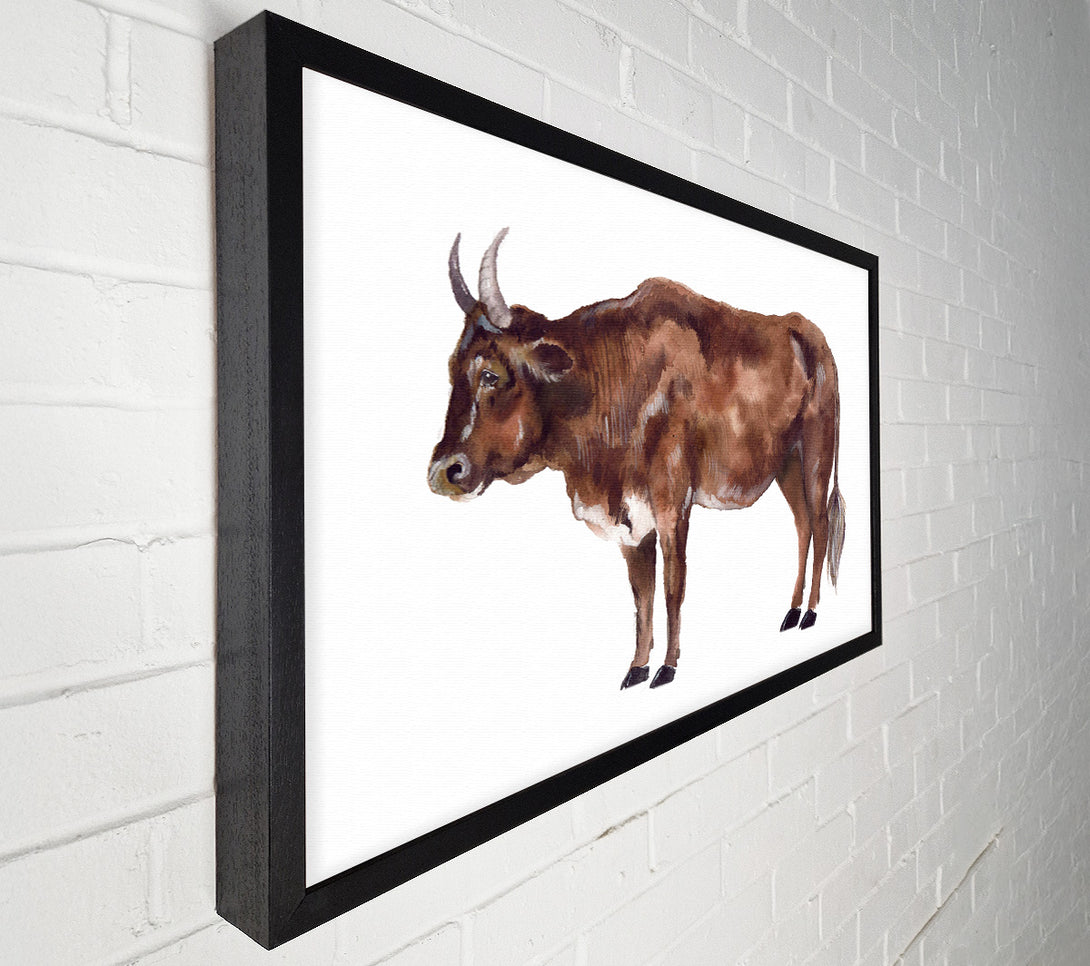  A Canvas Print of Big Brown Cow Canvas Art