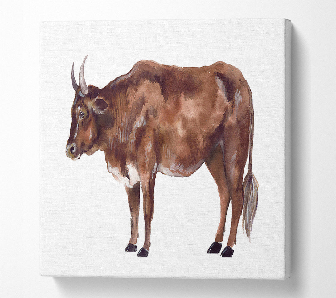  A Canvas Print of Big Brown Cow Canvas Art