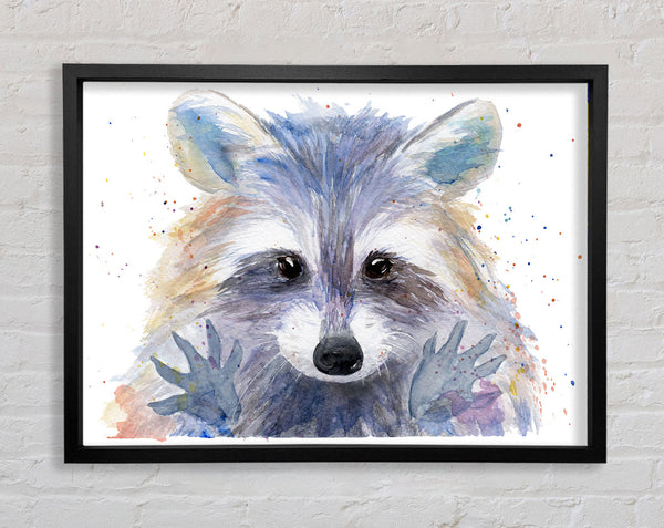 Watercolour Raccoon Framed Print