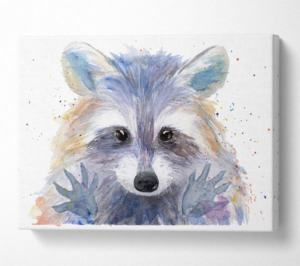  A Canvas Print of Watercolour Raccoon Canvas Wall Art