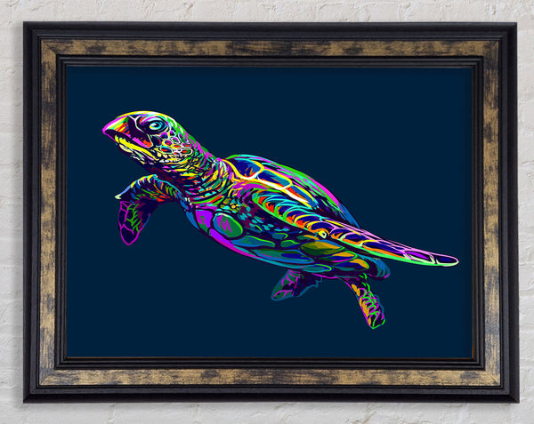 The Colourful Turtle Framed Print