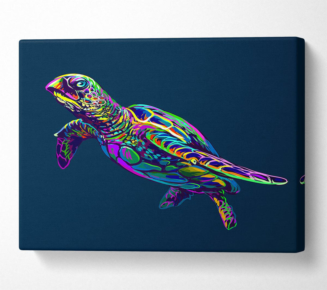  A Canvas Print of The Colourful Turtle Canvas Print