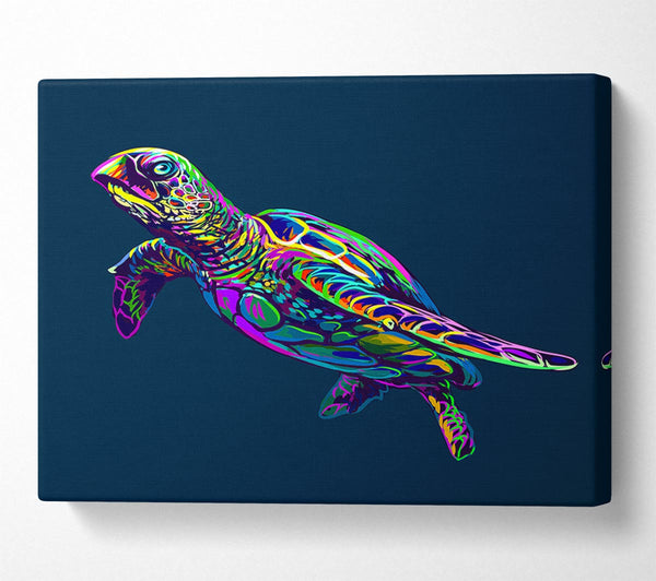  A Canvas Print of The Colourful Turtle Canvas Print