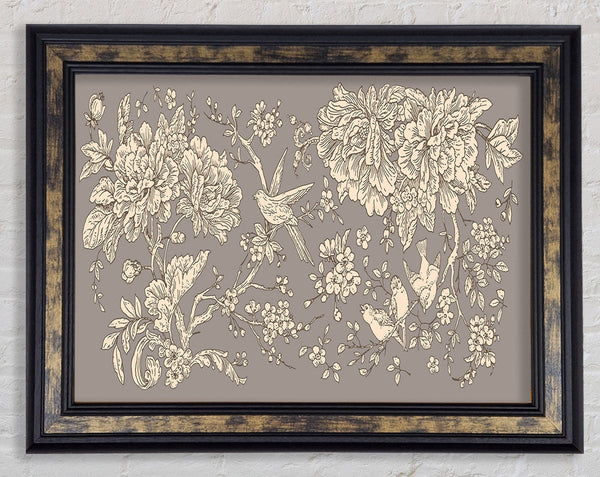 Old Nature Illustrations Framed Print