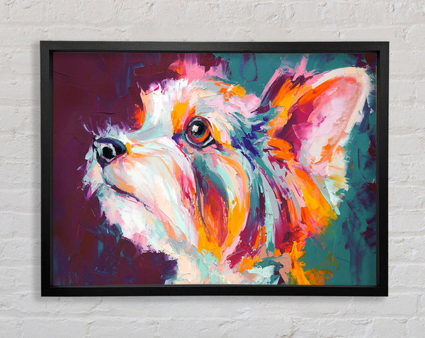 Vibrant Yorkshire Terrier Framed Print