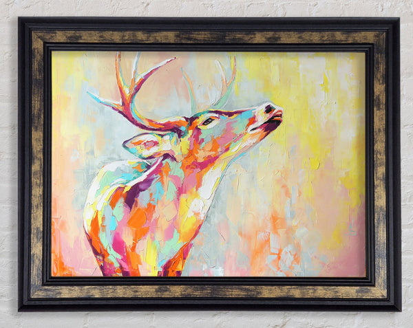 The Stag Looking Ahead Framed Print