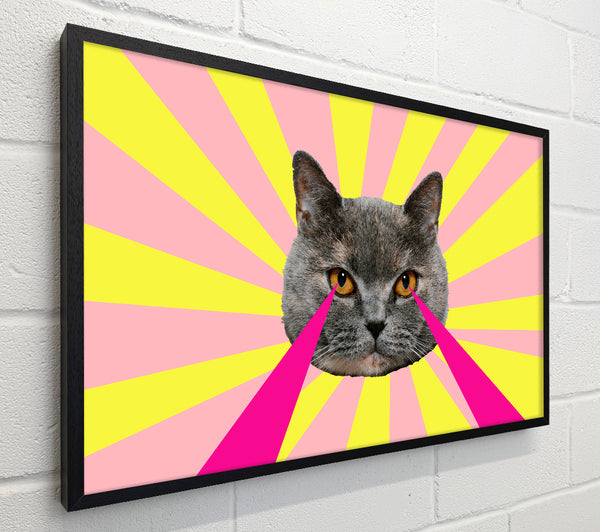 Cat Lazer Eyes