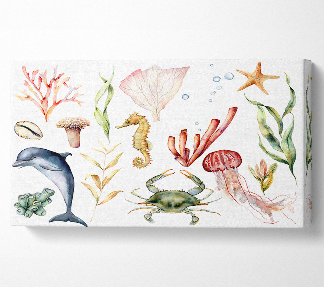  A Canvas Print of Water Colour Sea Creatures Canvas Wall Art