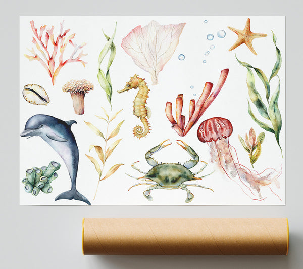 Water Colour Sea Creatures Print