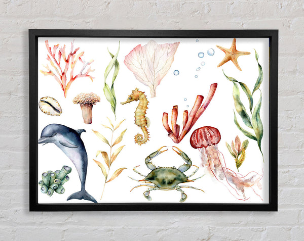 Water Colour Sea Creatures Framed Print