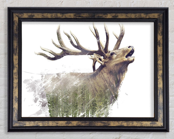 Double Exposure Stag Framed Print