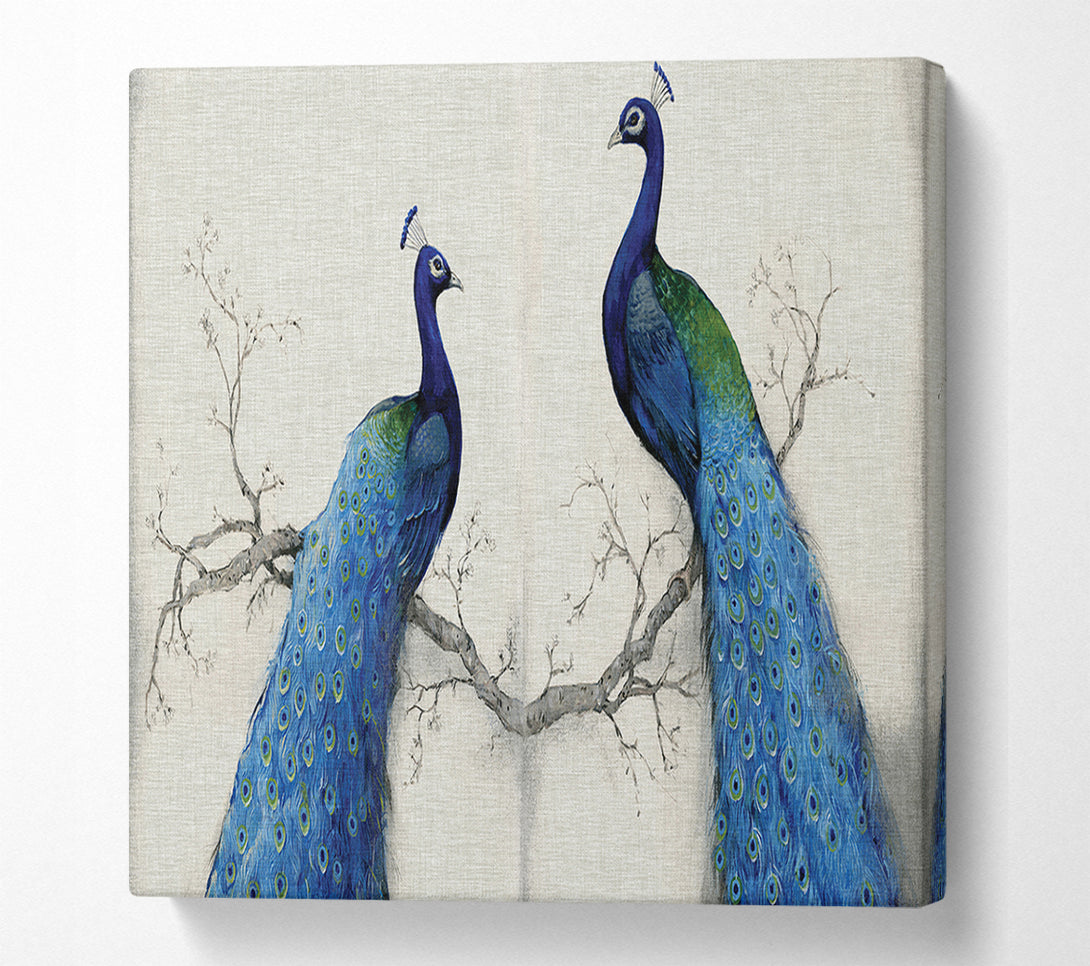  A Canvas Print of The Peacock Duo Canvas Wall Art