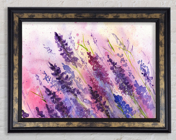 Lavender Colour Splash Framed Print