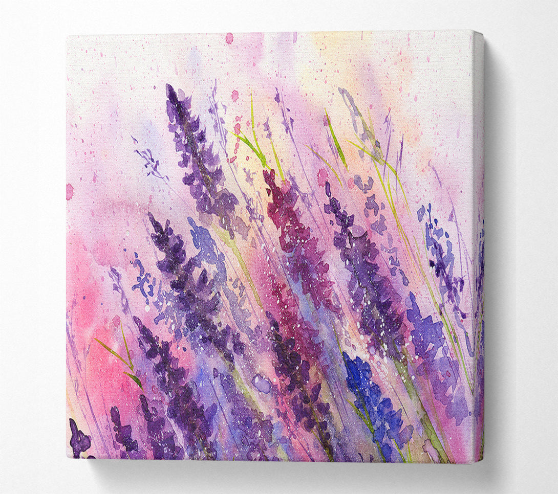  A Canvas Print of Lavender Colour Splash Canvas Print