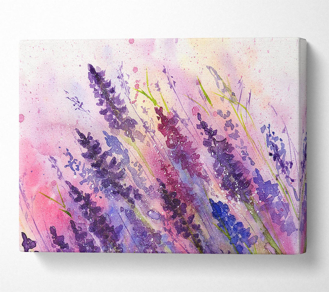  A Canvas Print of Lavender Colour Splash Canvas Print