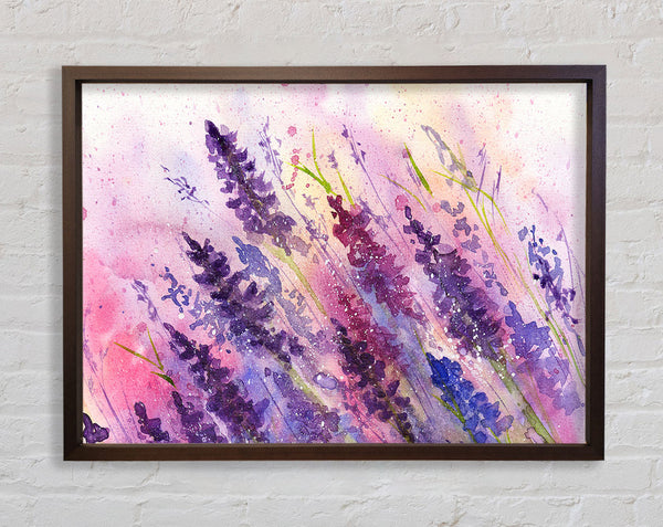 Lavender Colour Splash Framed Print