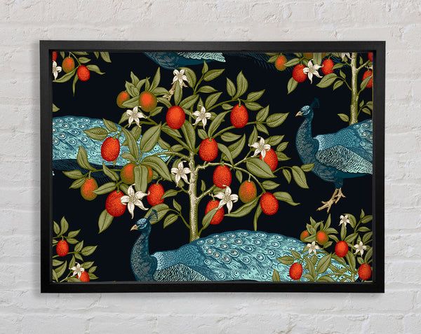 Der Pfau und der Orangenbaum