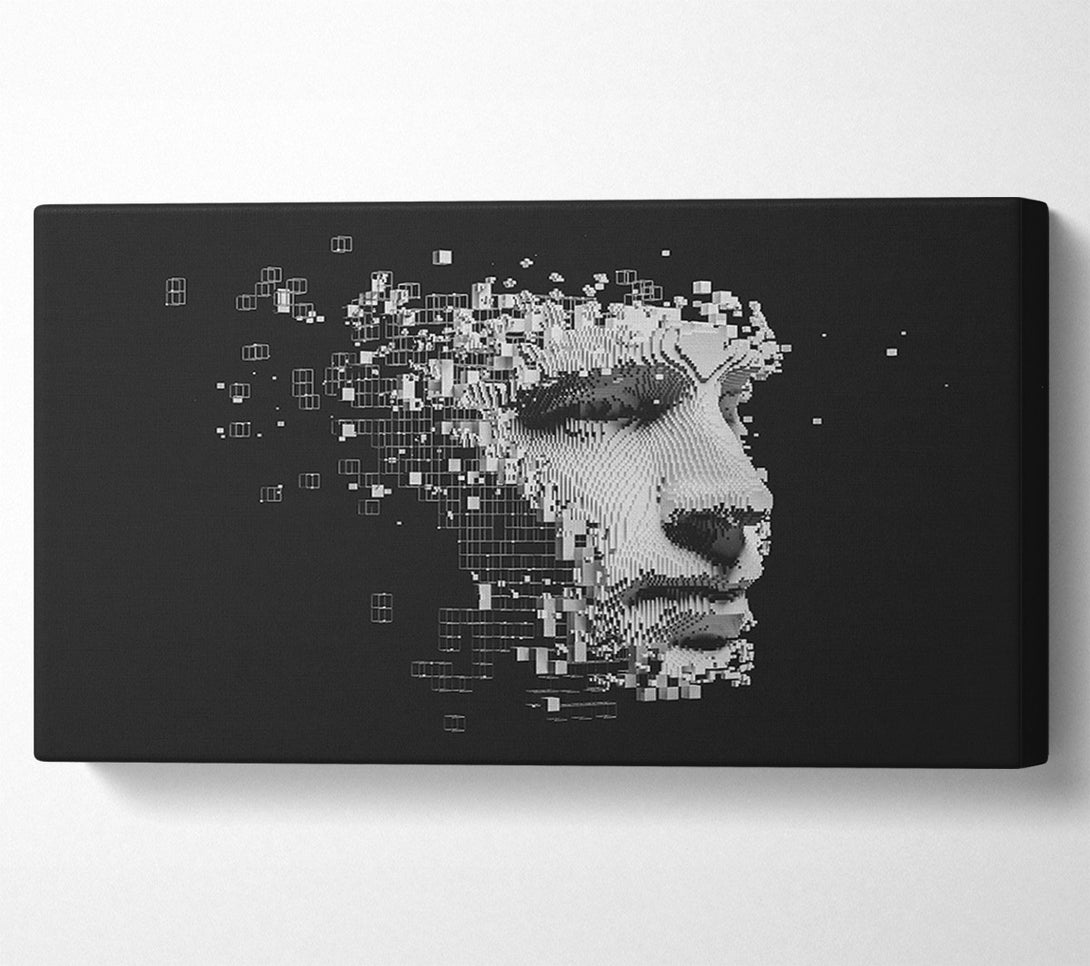  A Canvas Print of Break Away Face Canvas Art