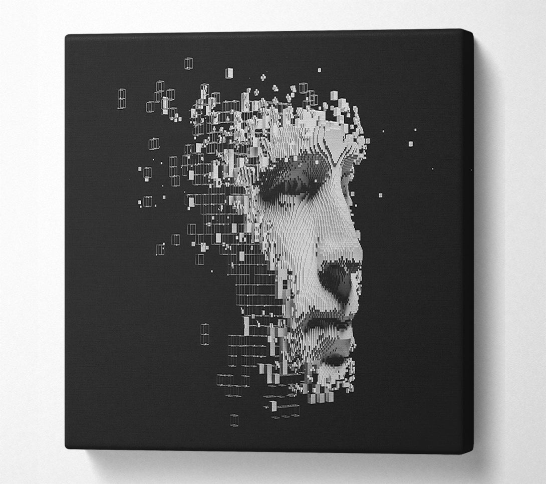  A Canvas Print of Break Away Face Canvas Art