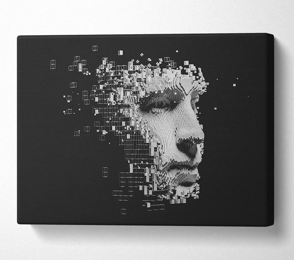  A Canvas Print of Break Away Face Canvas Art