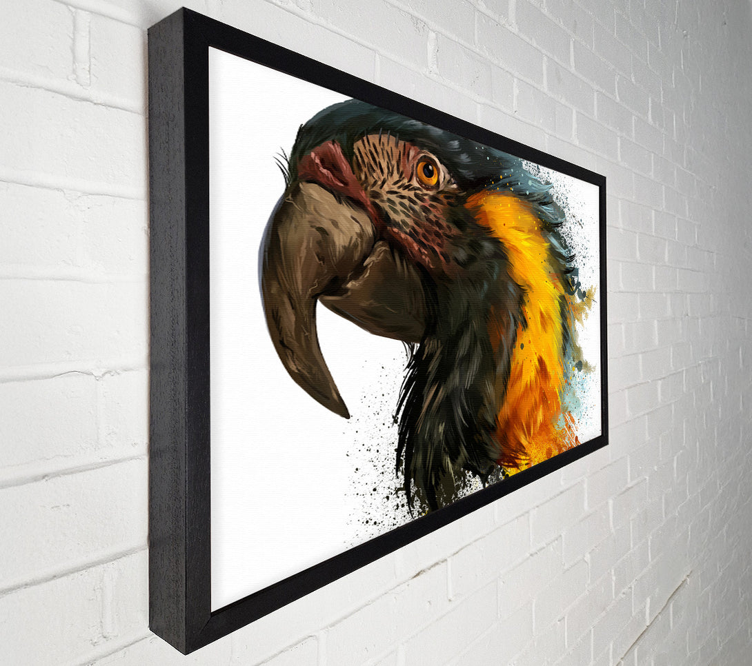  A Canvas Print of Rainbow Splatter Parrot Canvas Art