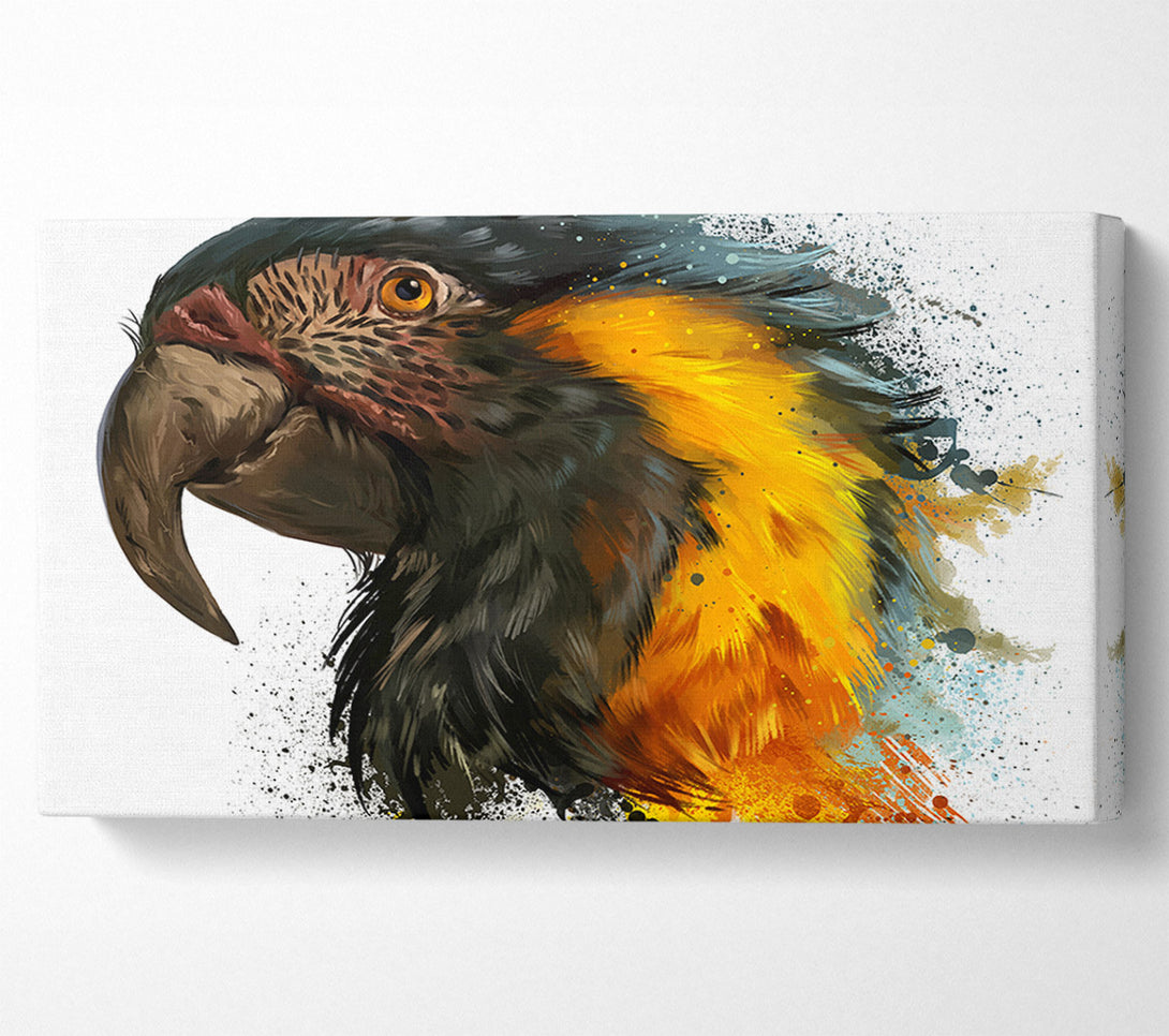  A Canvas Print of Rainbow Splatter Parrot Canvas Art