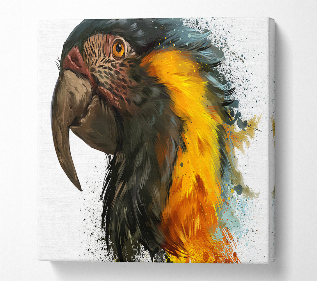  A Canvas Print of Rainbow Splatter Parrot Canvas Art