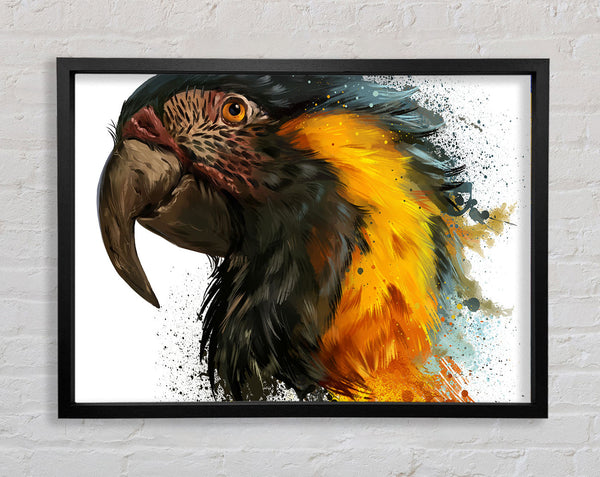 Rainbow Splatter Parrot Framed Print