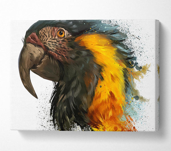  A Canvas Print of Rainbow Splatter Parrot Canvas Art
