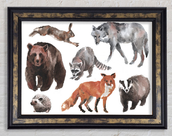 The Forest Animals Framed Print