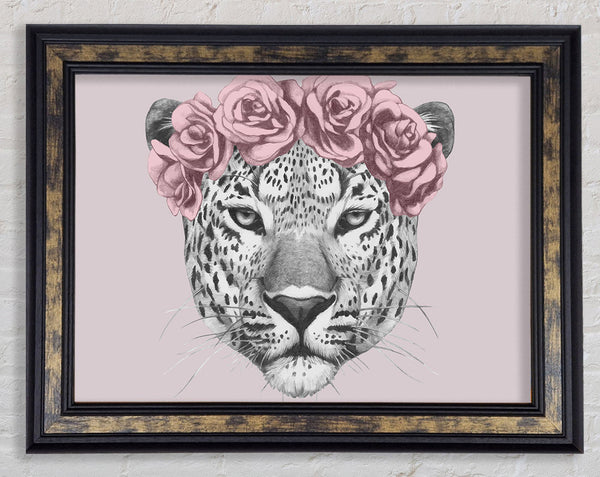 The Rose Head Leopard Framed Print