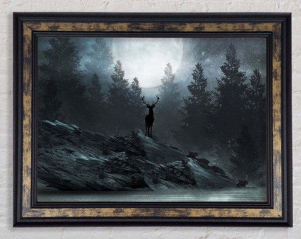 The Deer At Night Framed Print