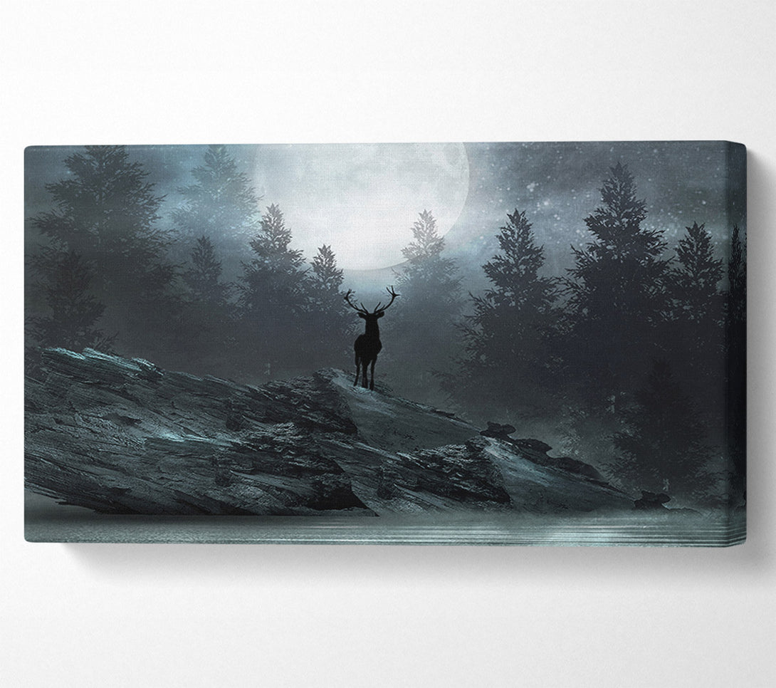  A Canvas Print of The Deer At Night Canvas Wall Art