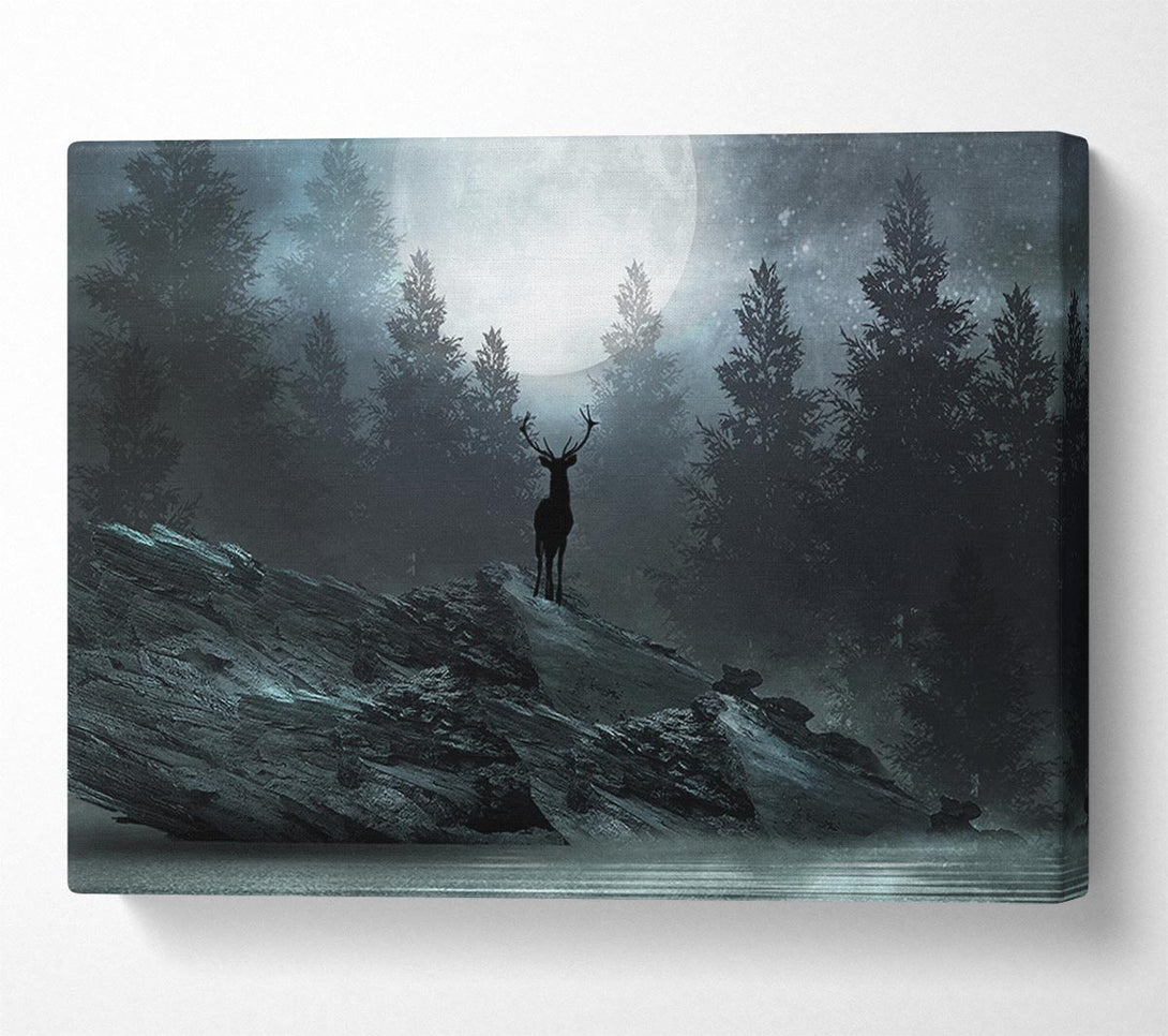  A Canvas Print of The Deer At Night Canvas Wall Art