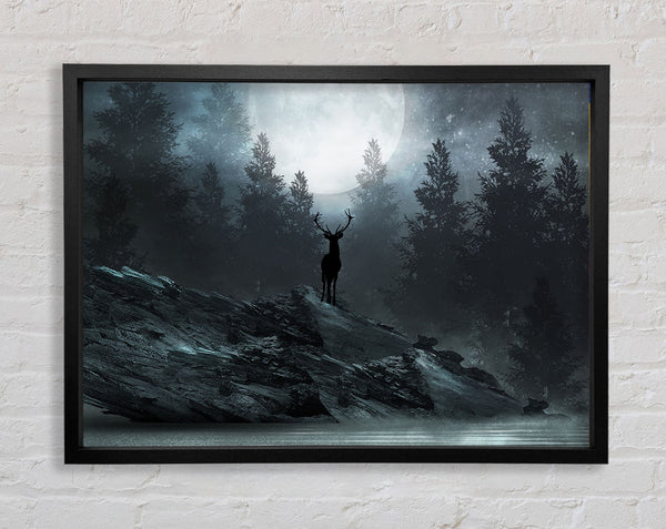 The Deer At Night Framed Print