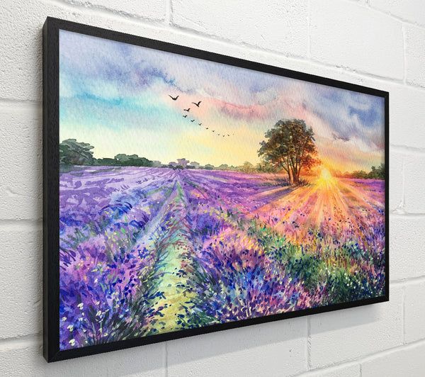 Lilac Fields Sunset