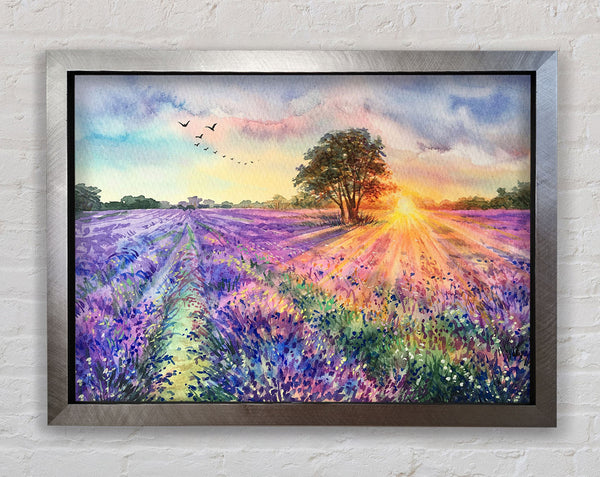 Lilac Fields Sunset Framed Print