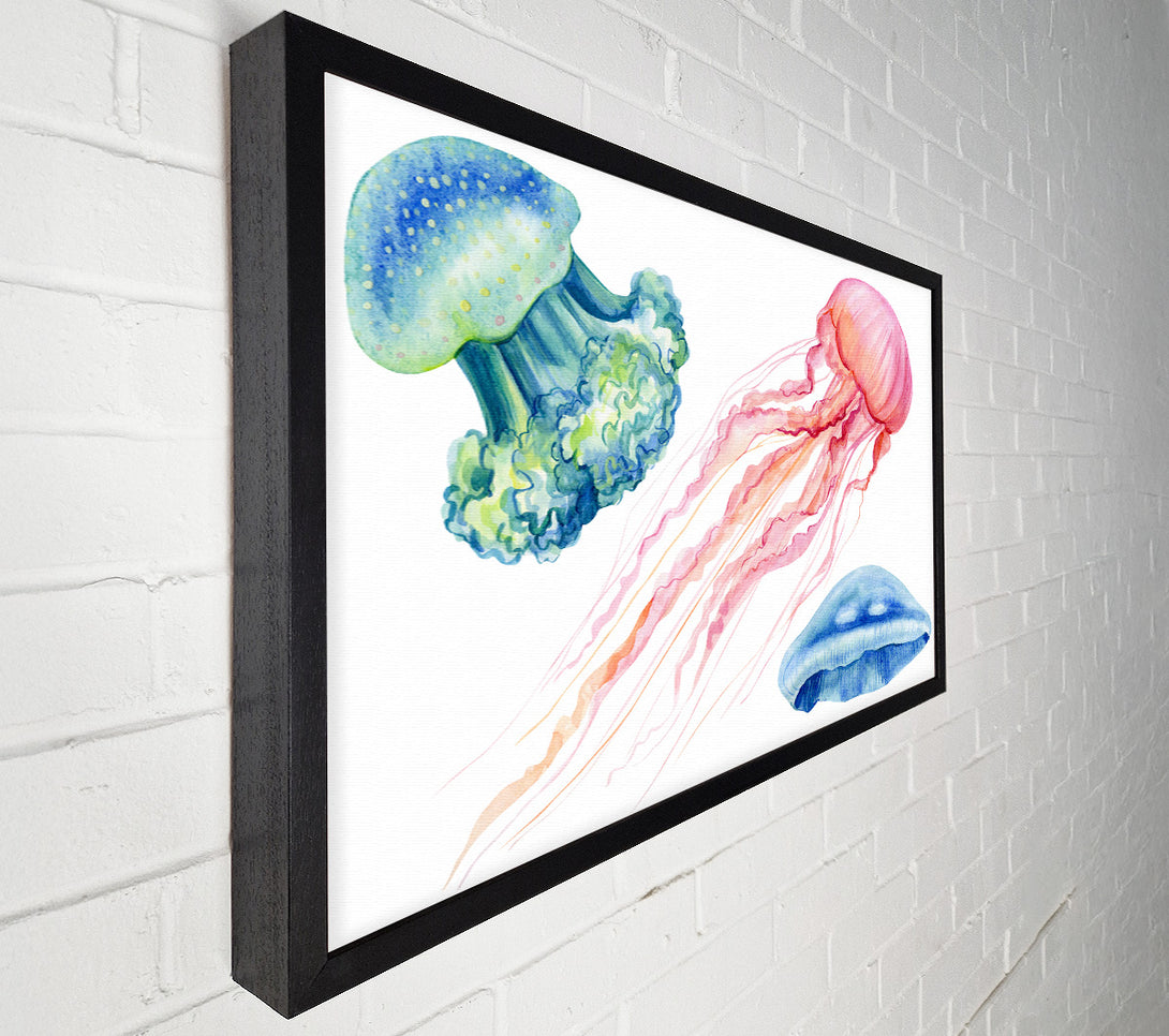  A Canvas Print of The Jellyfish Of The Sea Canvas Wall Art