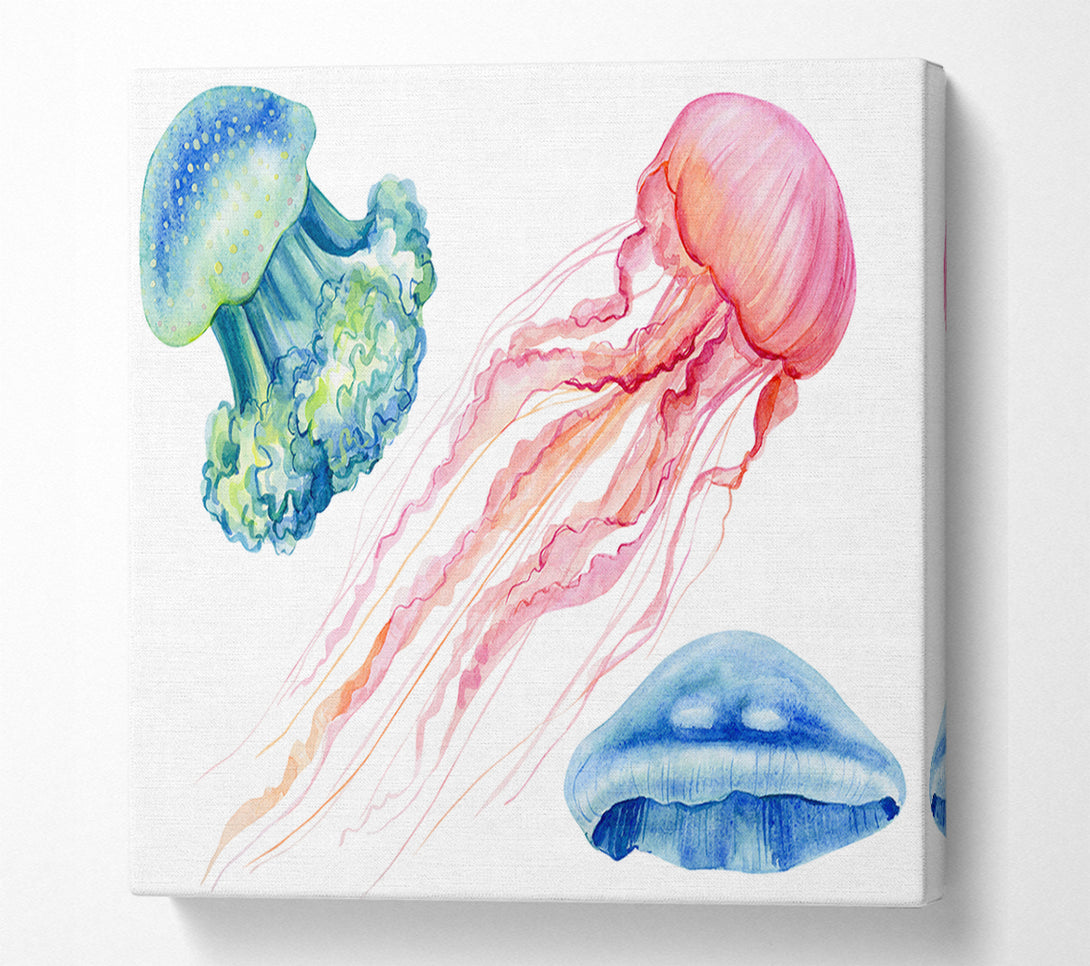  A Canvas Print of The Jellyfish Of The Sea Canvas Wall Art