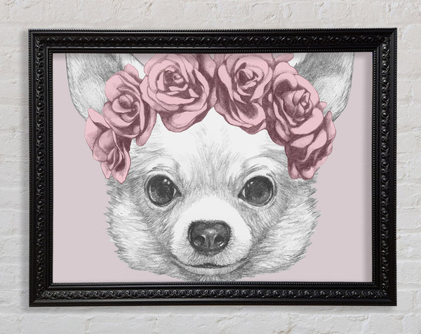 Flower Head Chihuahua Framed Print