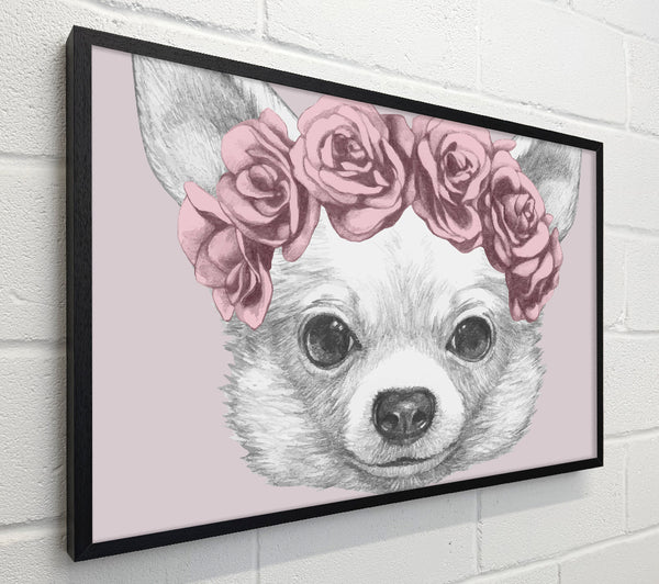 Flower Head Chihuahua