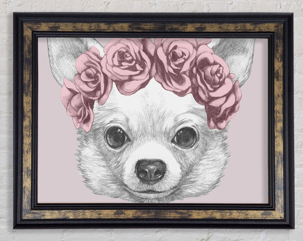 Flower Head Chihuahua Framed Print