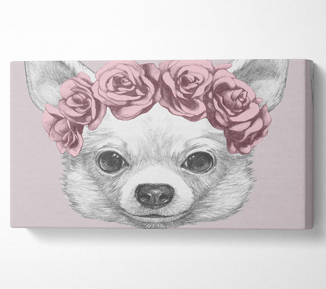 A Canvas Print of Flower Head Chihuahua Canvas Print