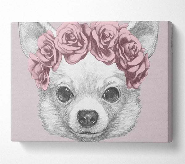  A Canvas Print of Flower Head Chihuahua Canvas Print