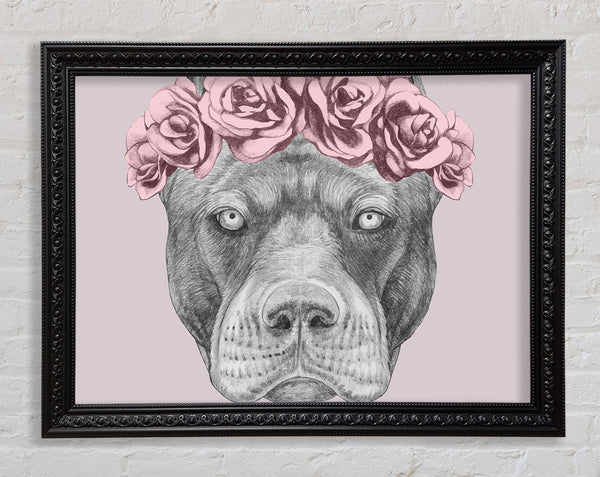 Flower Head Pitbull Framed Print
