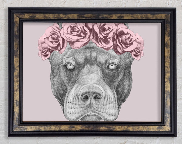 Flower Head Pitbull Framed Print