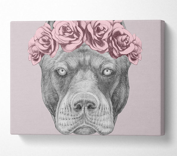  A Canvas Print of Flower Head Pitbull Canvas Wall Art