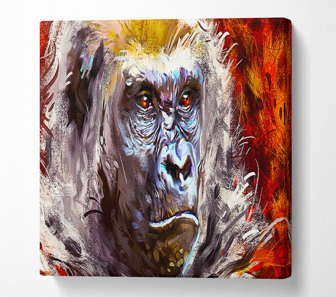  A Canvas Print of The Serious Gorilla Canvas Art