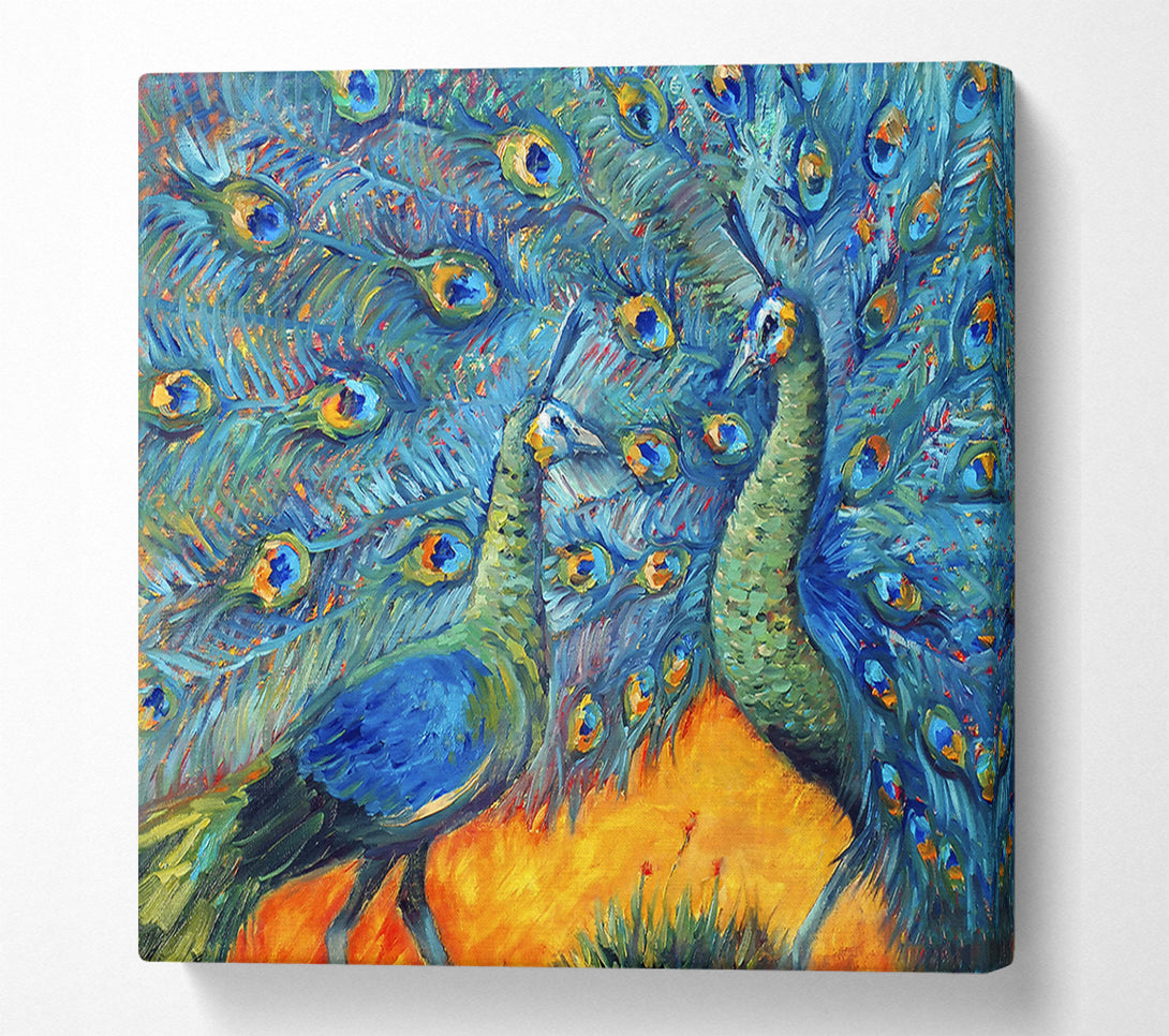  A Canvas Print of The Supreme Peacock Canvas Wall Art